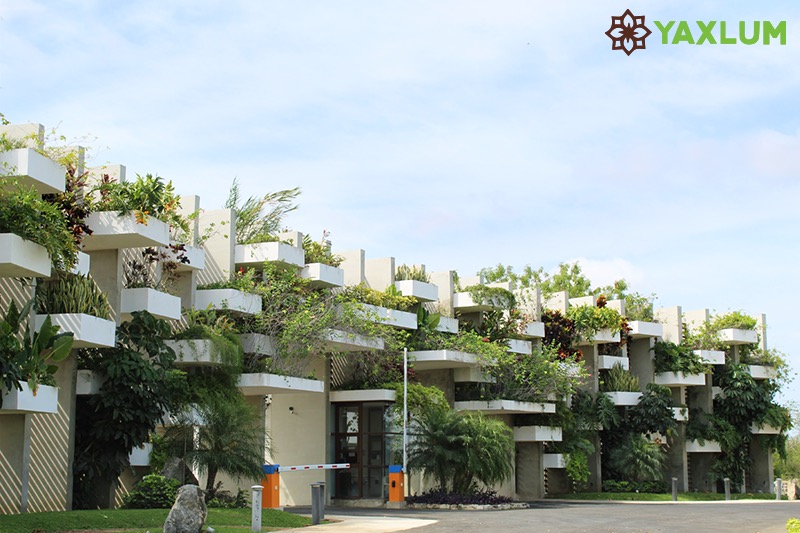 Lotes en Residencial Yaxlum