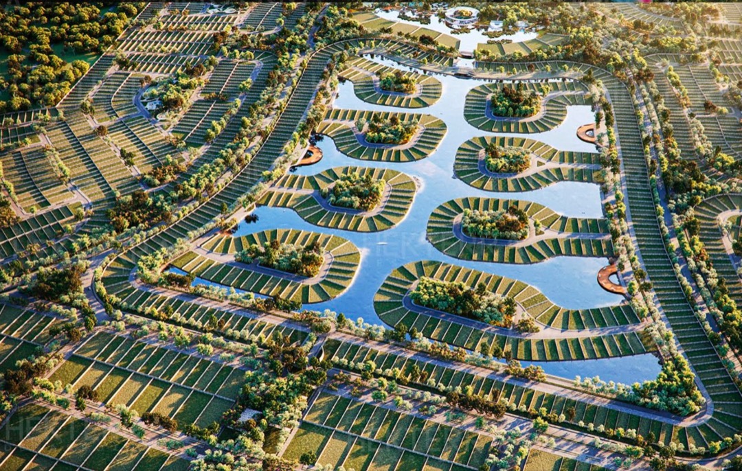 Silvestre. Terrenos en Hunucmá, Yucatán